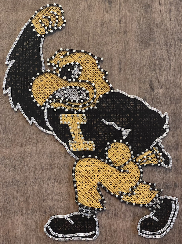 Iowa Hawkeye
