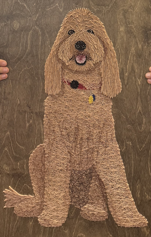 Golden Doodle Portrait